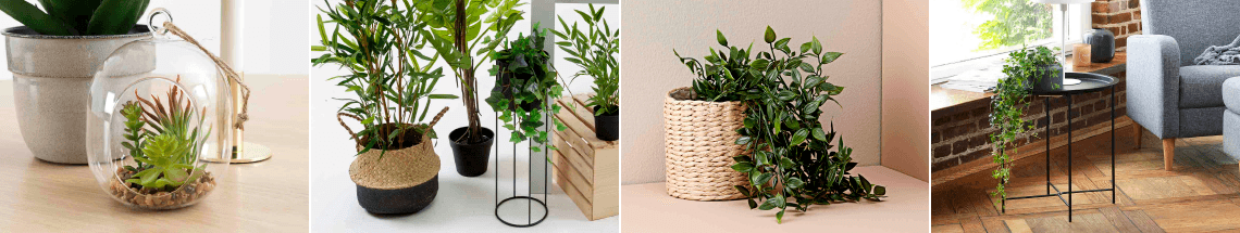 Plants & flowers